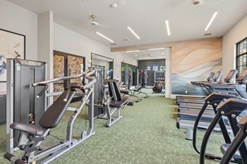 Cardio and strength training fitness center with echelon mirror